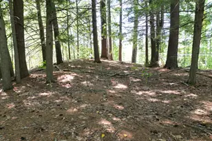 271 Goulds Ridge Rd, Passadumkeag, ME 04475 - Photo 15