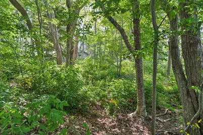0 Neighborhood Road, Mount Desert, ME 04662 - Photo 9