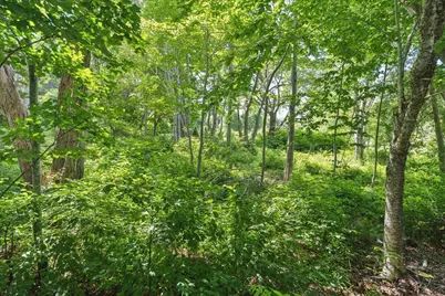 0 Neighborhood Road, Mount Desert, ME 04662 - Photo 7