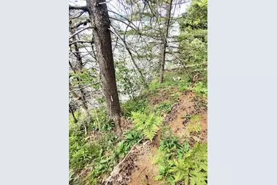 1 Sunset Drive, Eastport, ME 04631 - Photo 11