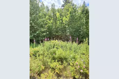 1 Sunset Drive, Eastport, ME 04631 - Photo 7