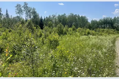 Lot 42 Lombard Road, Caribou, ME 04736 - Photo 3