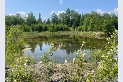 Lot 42 Lombard Road, Caribou, ME 04736 - Photo 7