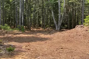 Lot 6 Bunchberry Ln, Bristol, ME 04554 - Photo 1