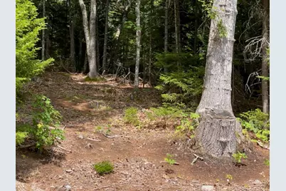 Lot 6 Bunchberry Lane, Bristol, ME 04554 - Photo 5