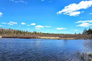 808 Skedgell Rd, Cary, ME 04471 - Photo 113