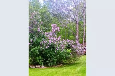 160 Oak Lane, Dayton, ME 04005 - Photo 41
