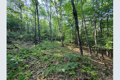 473 Davenport Hill Road, Jay, ME 04239 - Photo 41