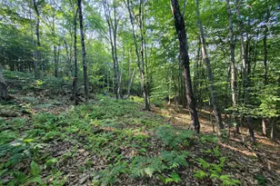 473 Davenport Hill Rd, Jay, ME 04239 - Photo 41