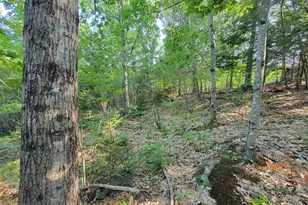 473 Davenport Hill Rd, Jay, ME 04239 - Photo 55