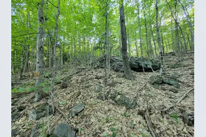 473 Davenport Hill Road, Jay, ME 04239 - Photo 61