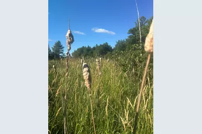Map5/Lot53 Bangor Road, Troy, ME 04987 - Photo 5
