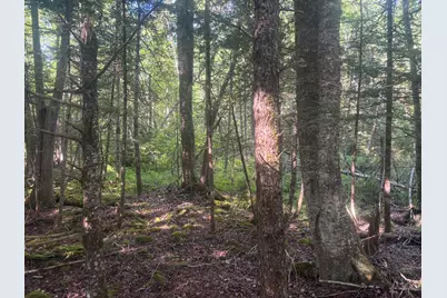 Map5/Lot53 Bangor Road, Troy, ME 04987 - Photo 7