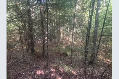 Map5/Lot53 Bangor Road, Troy, ME 04987 - Photo 3