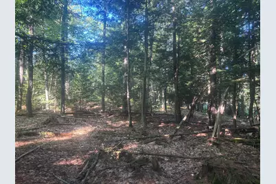 Map5/Lot53 Bangor Road, Troy, ME 04987 - Photo 9