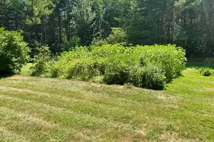 539 King St, Marion Twp, ME 04628 - Photo 53