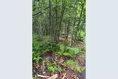 4 Kolm Lane, Sebec, ME 04481 - Photo 5
