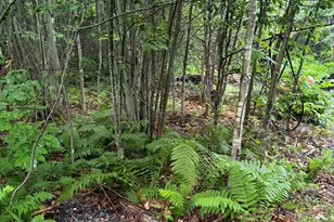 4 Kolm Ln, Sebec, ME 04481 - Photo 5