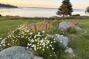 8 Youngs Point Rd, Gouldsboro, ME 04607 - Photo 47