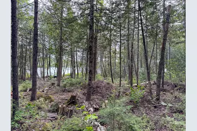 Lot 7 Bill Green Pond Road, T3 R1 Nbpp, ME 04455 - Photo 13