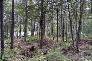 Lot 7 Bill Green Pond Rd, T3 R1 Nbpp, ME 04455 - Photo 13