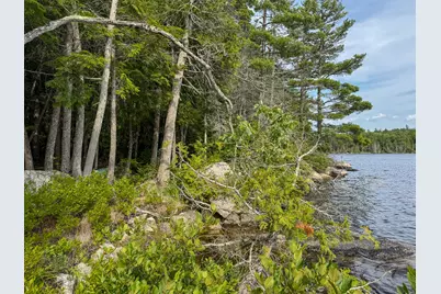 Lot 7 Bill Green Pond Road, T3 R1 Nbpp, ME 04455 - Photo 15