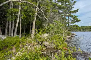Lot 7 Bill Green Pond Rd, T3 R1 Nbpp, ME 04455 - Photo 15