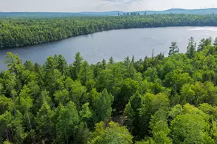Lot 7 Bill Green Pond Rd, T3 R1 Nbpp, ME 04455 - Photo 5