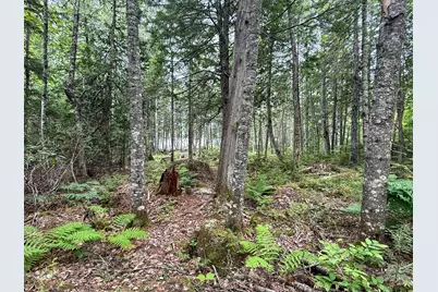 Lot 7 Bill Green Pond Road, T3 R1 Nbpp, ME 04455 - Photo 19