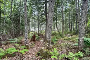 Lot 7 Bill Green Pond Rd, T3 R1 Nbpp, ME 04455 - Photo 19