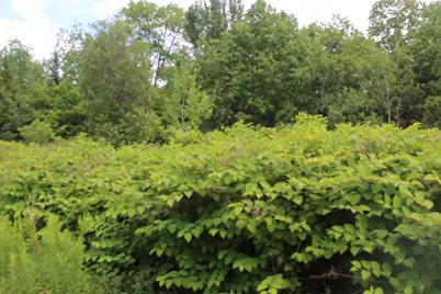 1093 Aroostook Scenic Highway, Moro Plantation, ME 04780 - Photo 1