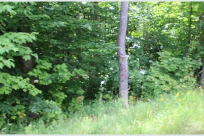 1093 Aroostook Scenic Highway, Moro Plantation, ME 04780 - Photo 5