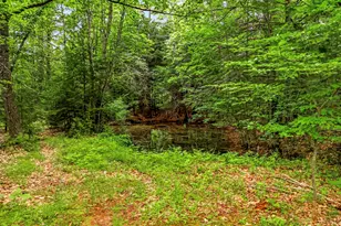 127 Little Falls Rd, Hollis, ME 04042 - Photo 43