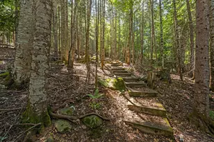 29 2 Rod Rd, Rangeley Plt,  04970 - Photo 41