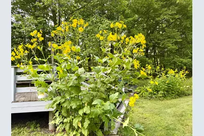 27 High Street, Guilford, ME 04443 - Photo 27