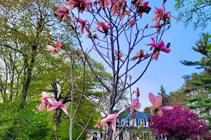 27 High St, Guilford, ME 04443 - Photo 7