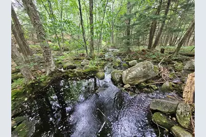 19A Quaker Ridge Road, Leeds, ME 04263 - Photo 9