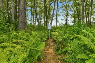 23 Admirals Way, Kennebunk, ME 04043 - Photo 47
