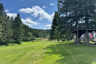 1038 S Perley Brook Rd, Fort Kent, ME 04743 - Photo 45