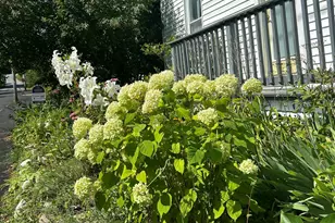 7 Anderson St, Belfast, ME 04915 - Photo 3