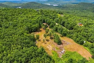 98 Stevens Rd, Stoneham, ME 04231 - Photo 55