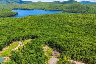 98 Stevens Rd, Stoneham, ME 04231 - Photo 59
