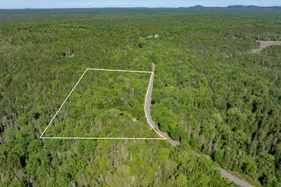 Lot #12 Merganser Drive, Gouldsboro, ME 04607 - Photo 5
