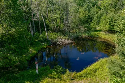 Lot #12 Merganser Drive, Gouldsboro, ME 04607 - Photo 11