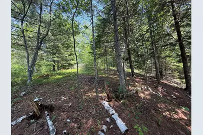 Lots 1,2,3 Tideway Lane, Lubec, ME 04652 - Photo 19