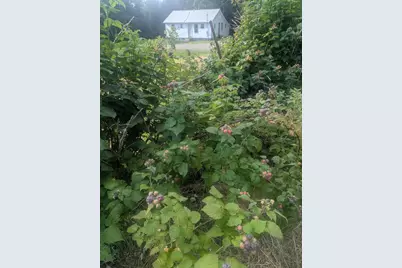 640 Dover Road, Dexter, ME 04930 - Photo 3