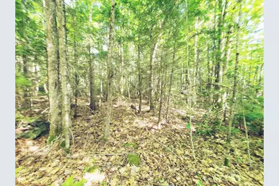 501 Pullen Woods Road, Palermo, ME 04354 - Photo 61