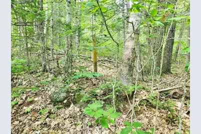 501 Pullen Woods Road, Palermo, ME 04354 - Photo 55