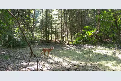 Lot 42 Colby Road, Westport, ME 04578 - Photo 17