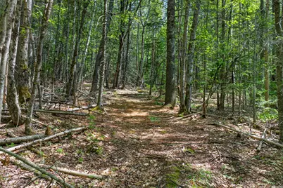 Lot 42 Colby Road, Westport, ME 04578 - Photo 45